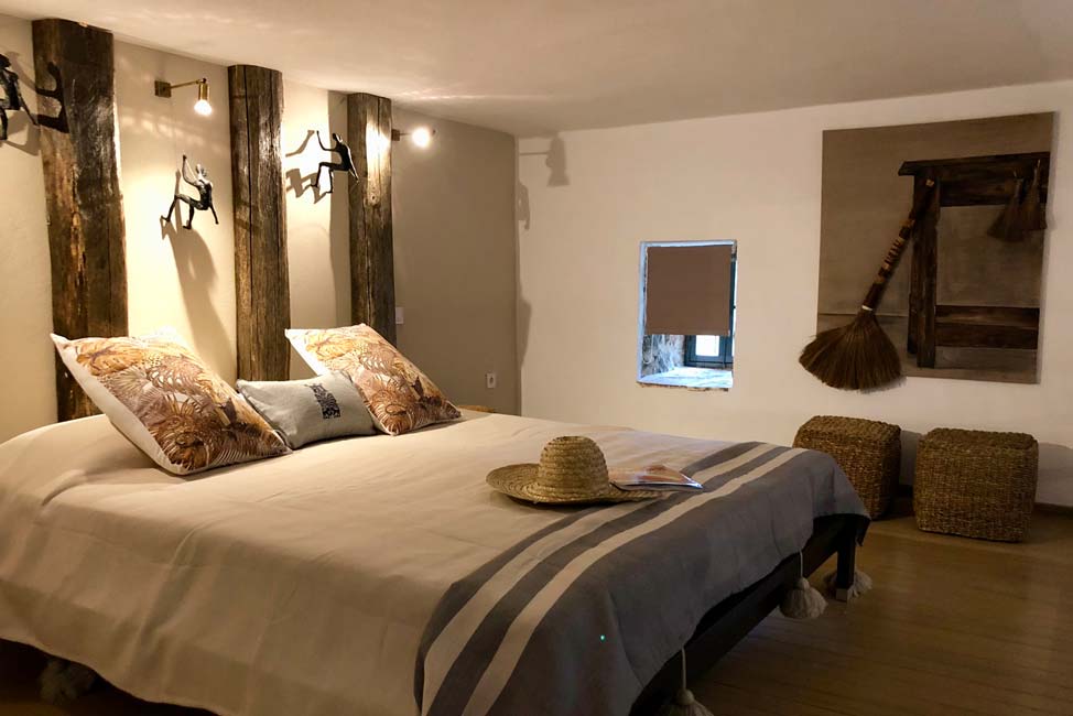 JUNGLE SUITE